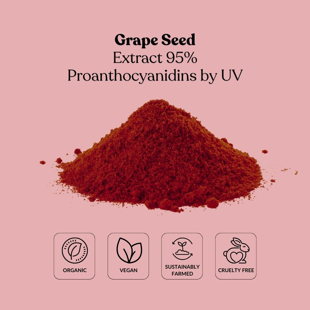 Grape Seed Extract 95% Proanthocyanidins by UV