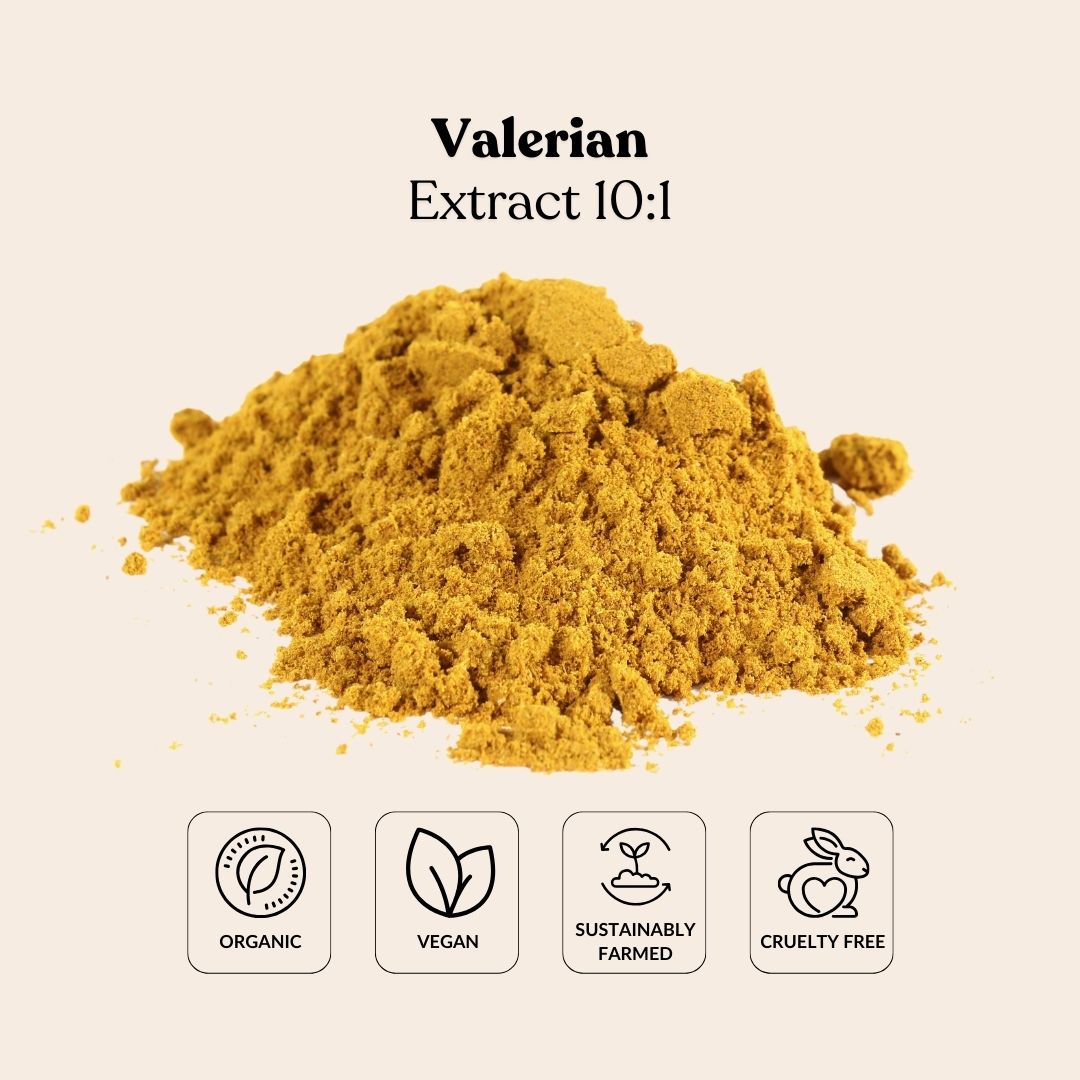 Valerian Extract 10:1
