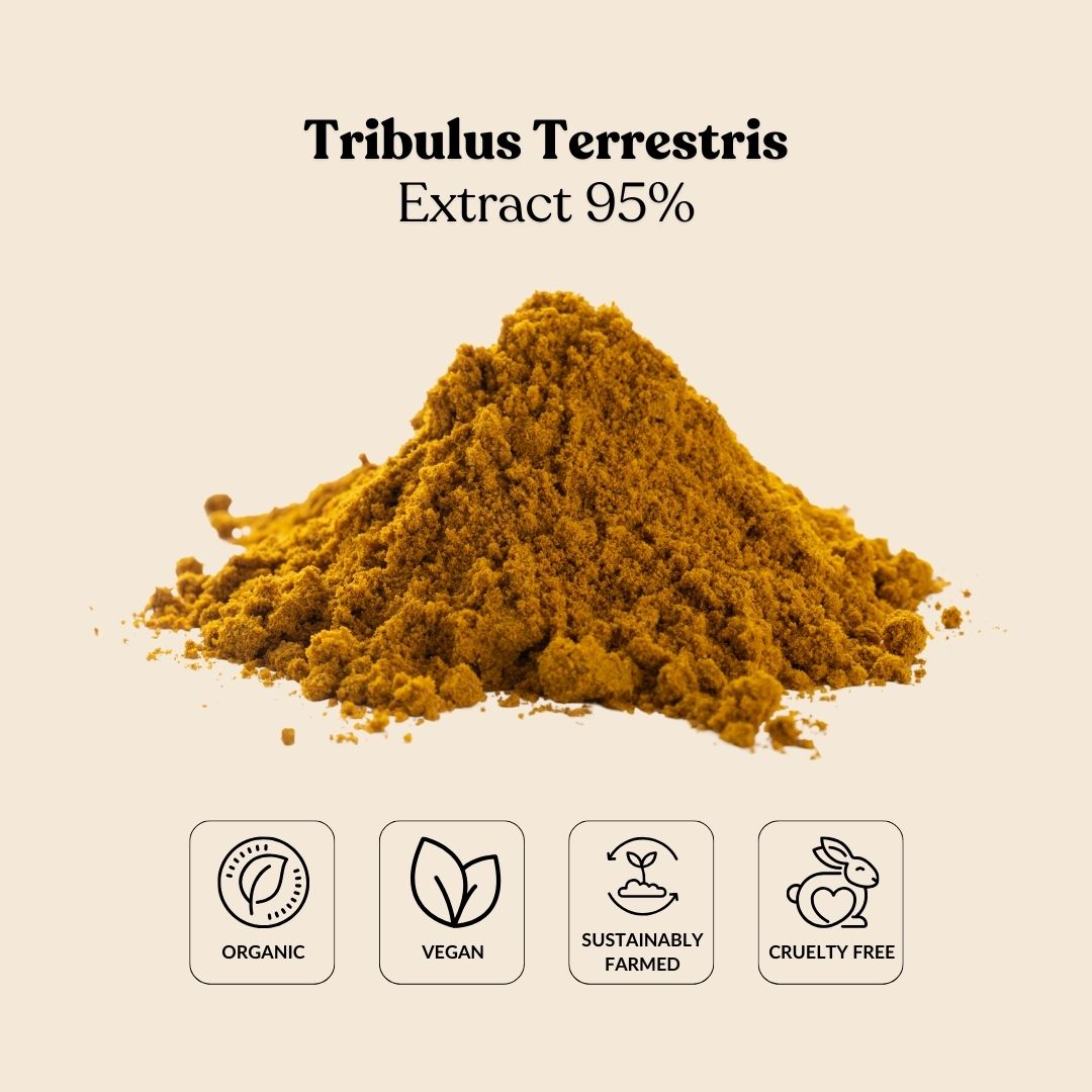Tribulus Terrestris Extract 95%