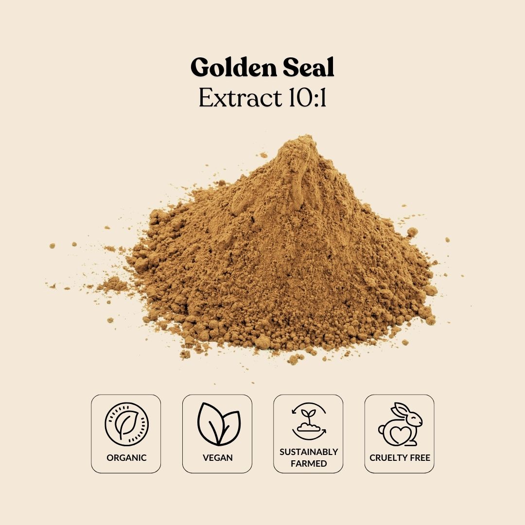 Golden Seal Extract 10:1
