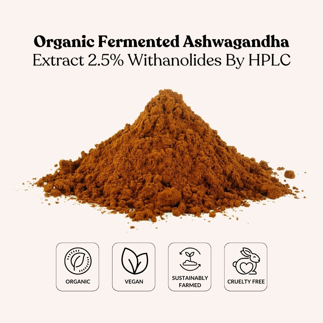 Organic Fermented Ashwagandha Extract 2.5% Withanolides By HPLC