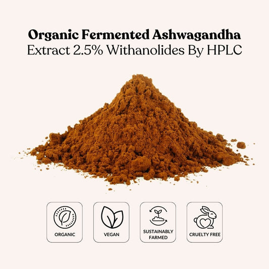 Organic Fermented Ashwagandha Extract 2.5% Withanolides By HPLC