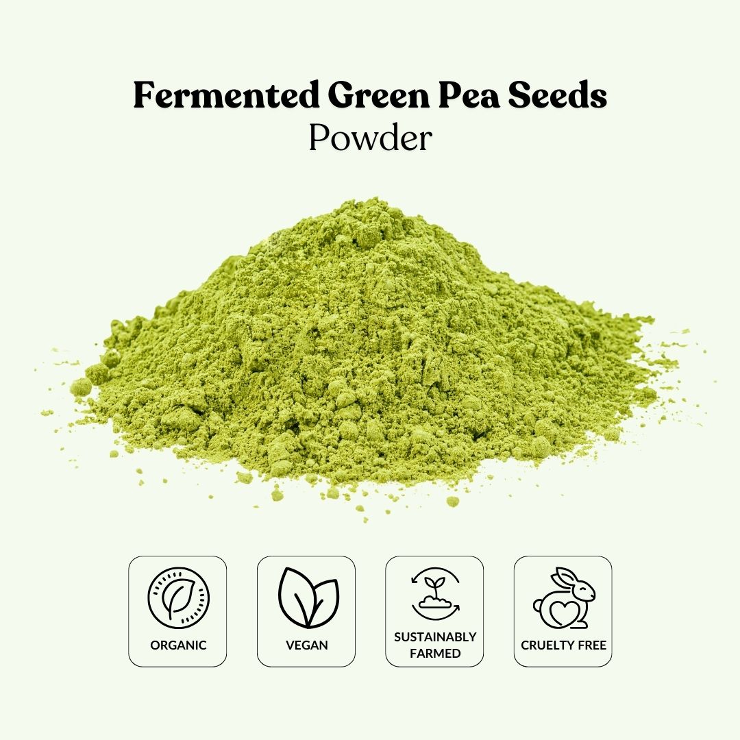 Fermented Green Pea Seeds Powder