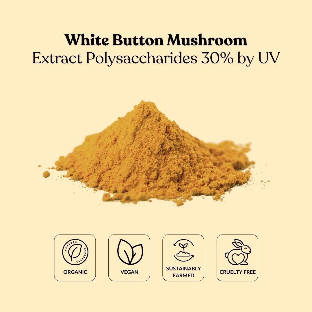White Button Mushroom Extract Polysaccharides 30% by UV