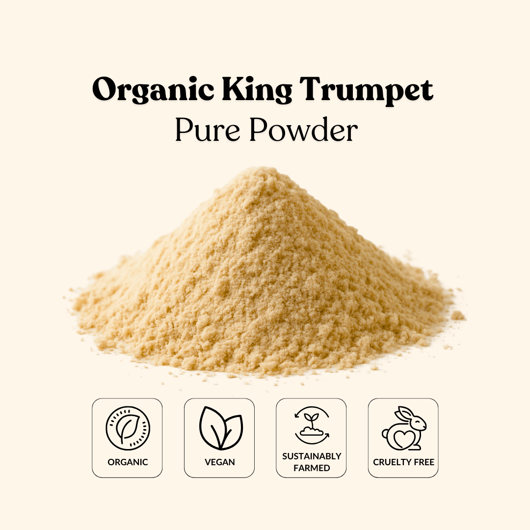 Organic King Trumpet Pure Powder