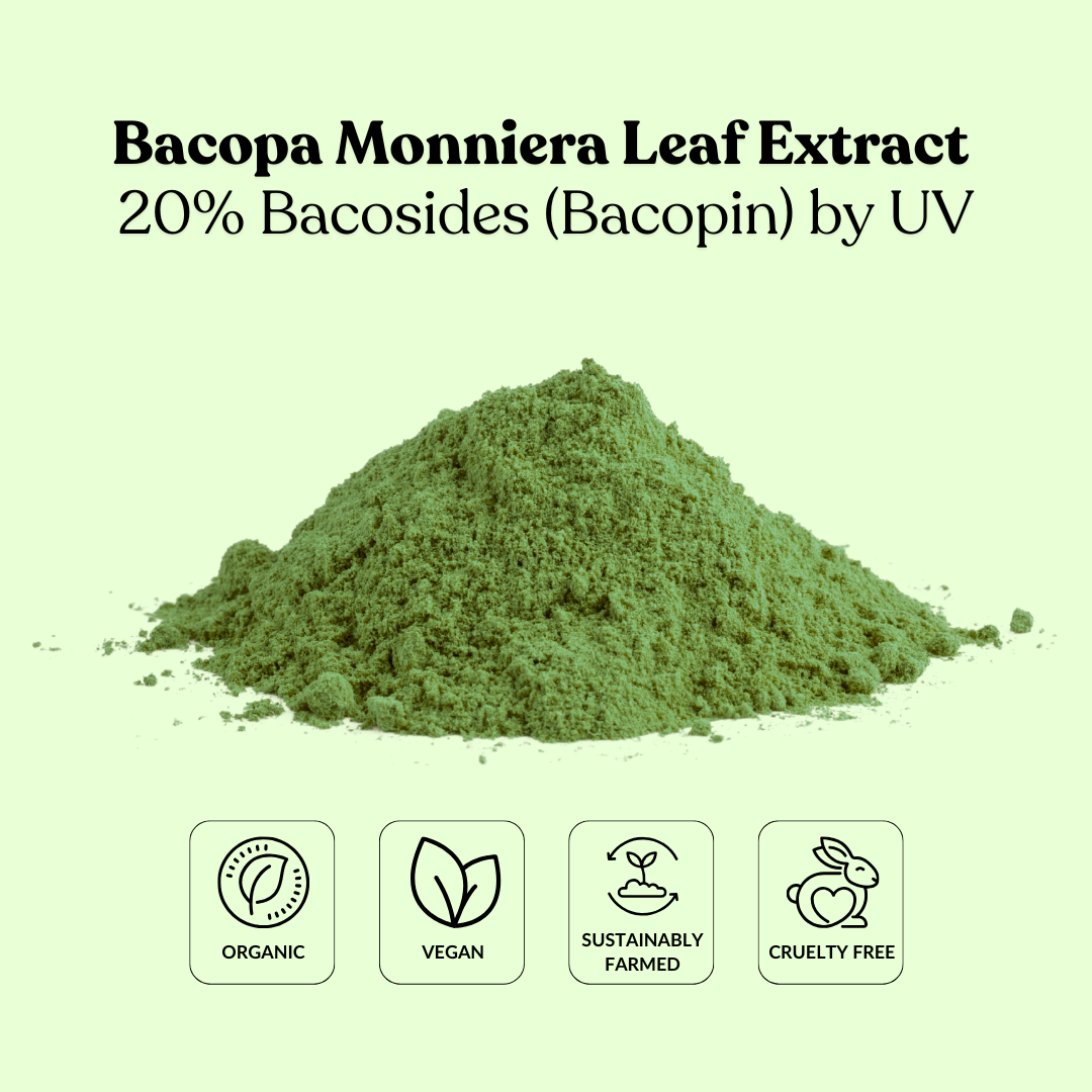 Bacopa Monniera Leaf Extract 20% Bacosides (Bacopin) by UV
