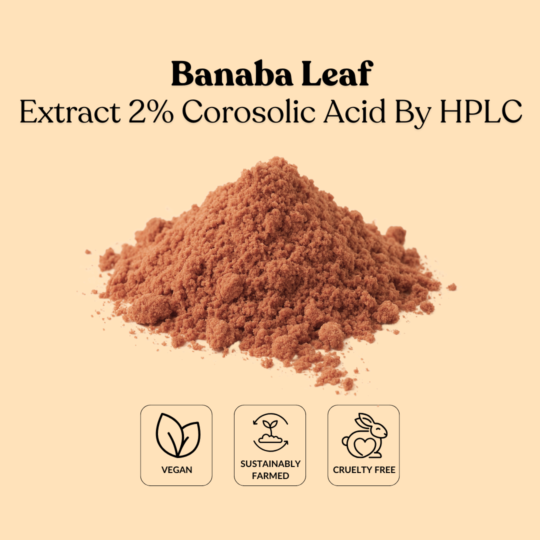 Banaba Leaf Extract 2% Corosolic Acid By HPLC
