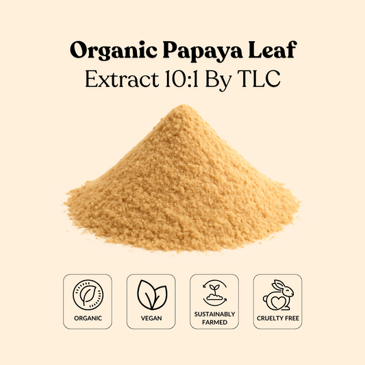 Organic Papaya Leaf Extract 10:1 By TLC