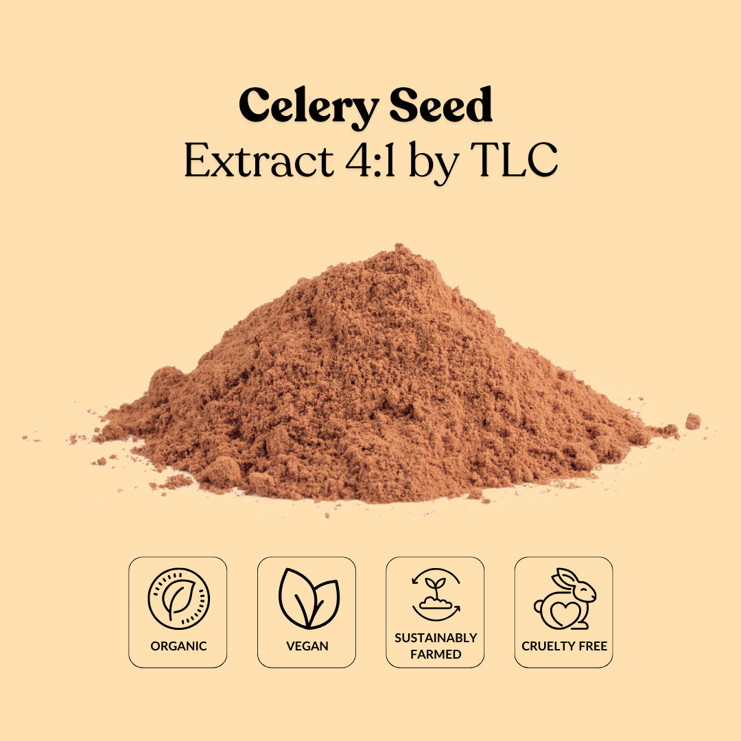 Celery Seed Extract 4:1 by TLC
