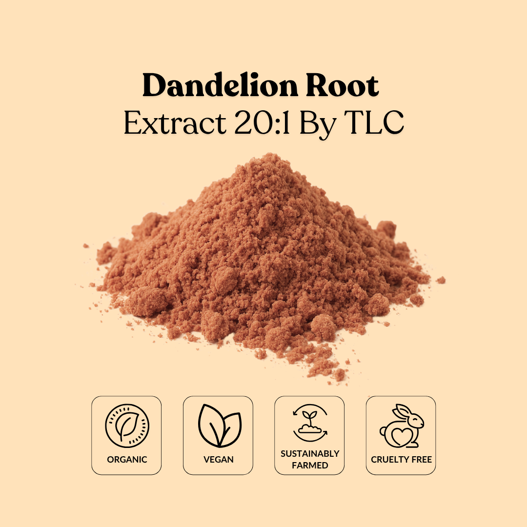 Dandelion Root Extract 20:1 By TLC