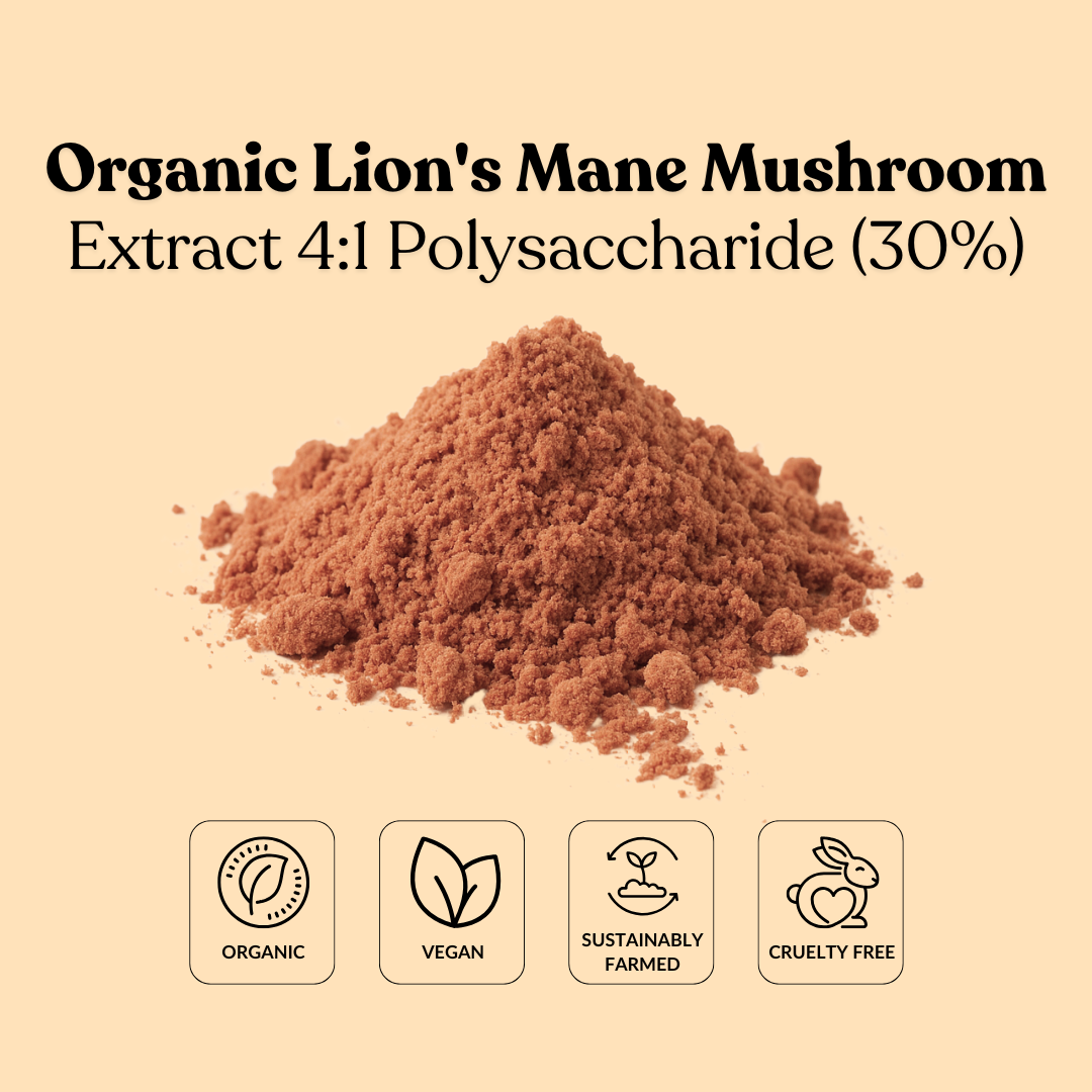Organic Lion's Mane Mushroom Extract 4:1 Polysaccharide (30%)