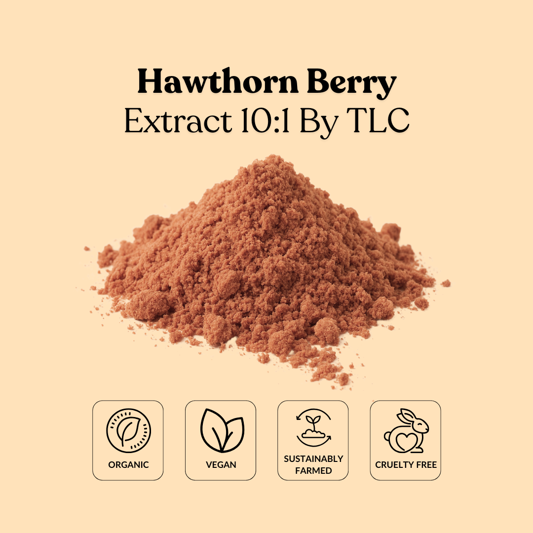 Hawthorn Berry Extract 10:1 By TLC