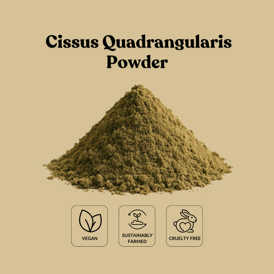 Cissus Quadrangularis Powder