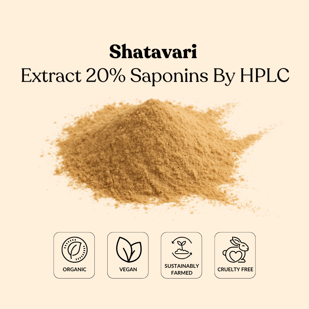 Shatavari Extract 20% Saponins By HPLC