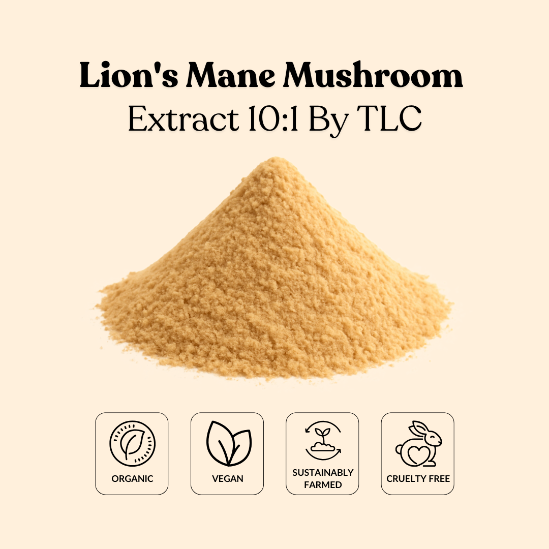 Lion's Mane Mushroom Extract 10:1 By TLC