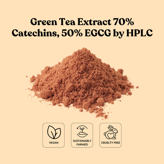 Green Tea Extract 70% Catechins, 50% EGCG by HPLC
