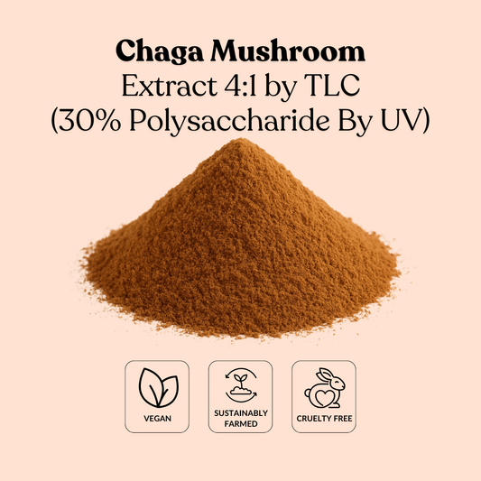 Chaga Mushroom Extract 4:1 by TLC (30% Polysaccharide By UV)