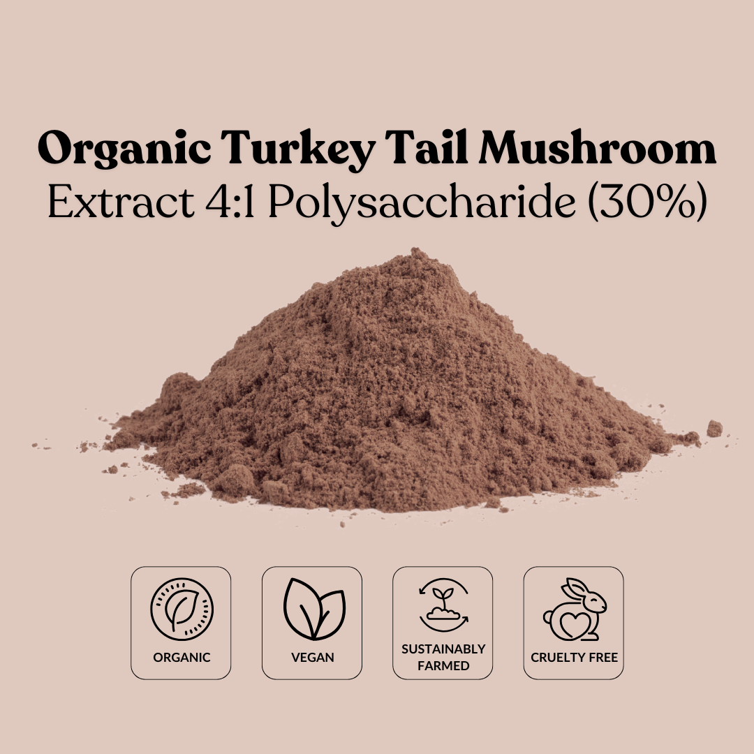 Organic Turkey Tail Mushroom Extract 4:1 Polysaccharide (30%)