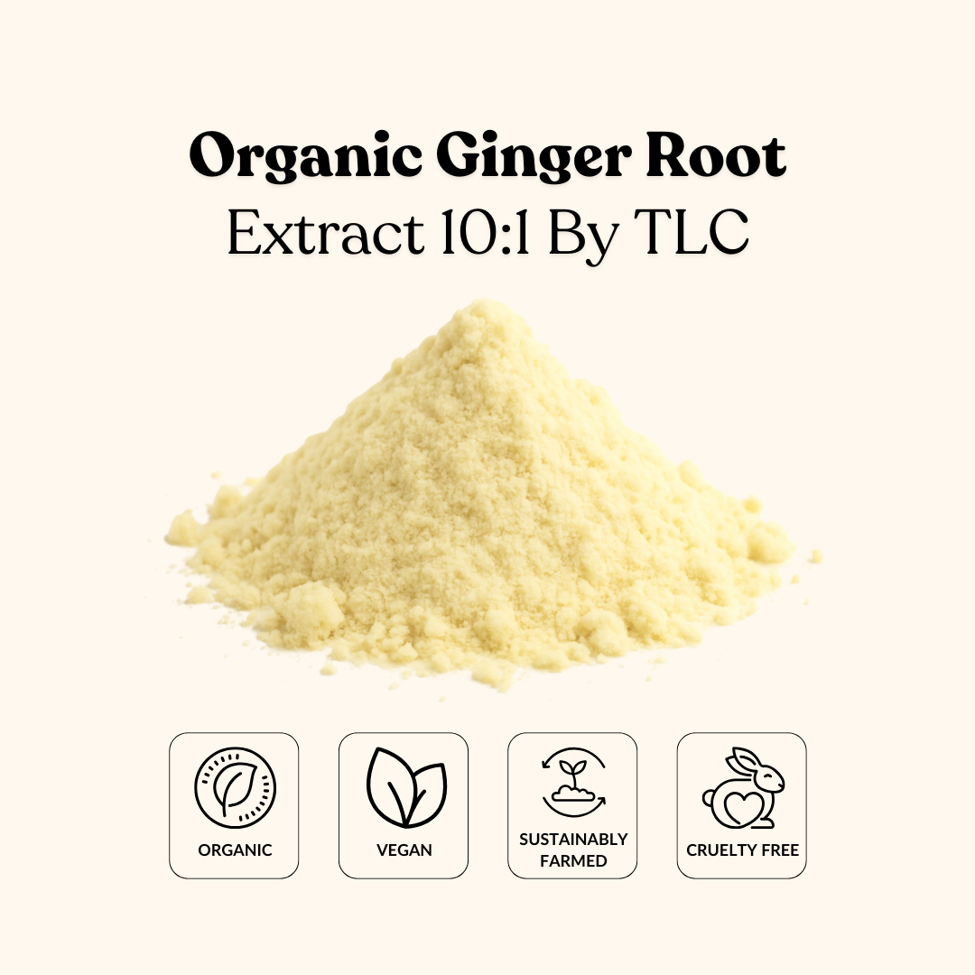 Organic Ginger Root Extract 10:1 By TLC