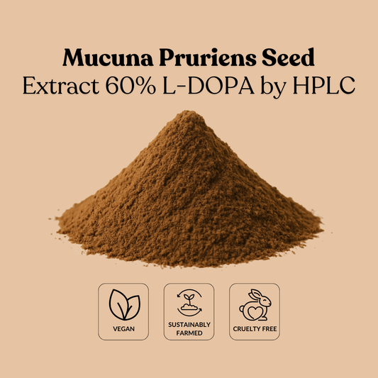 Mucuna Pruriens Seed Extract 60% L-DOPA by HPLC