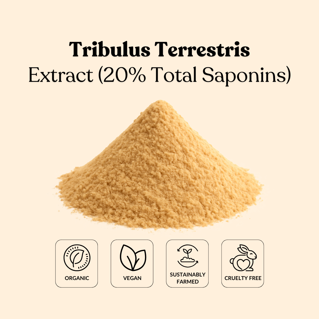 Tribulus Terrestris Extract (20% Total Saponins)