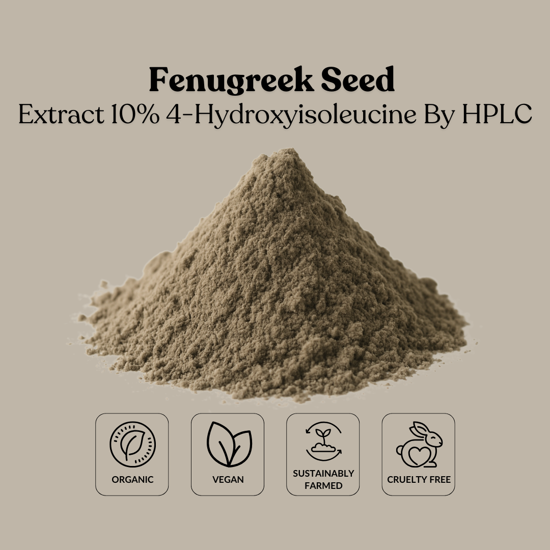 Fenugreek Seed Extract 10% 4-Hydroxyisoleucine By HPLC