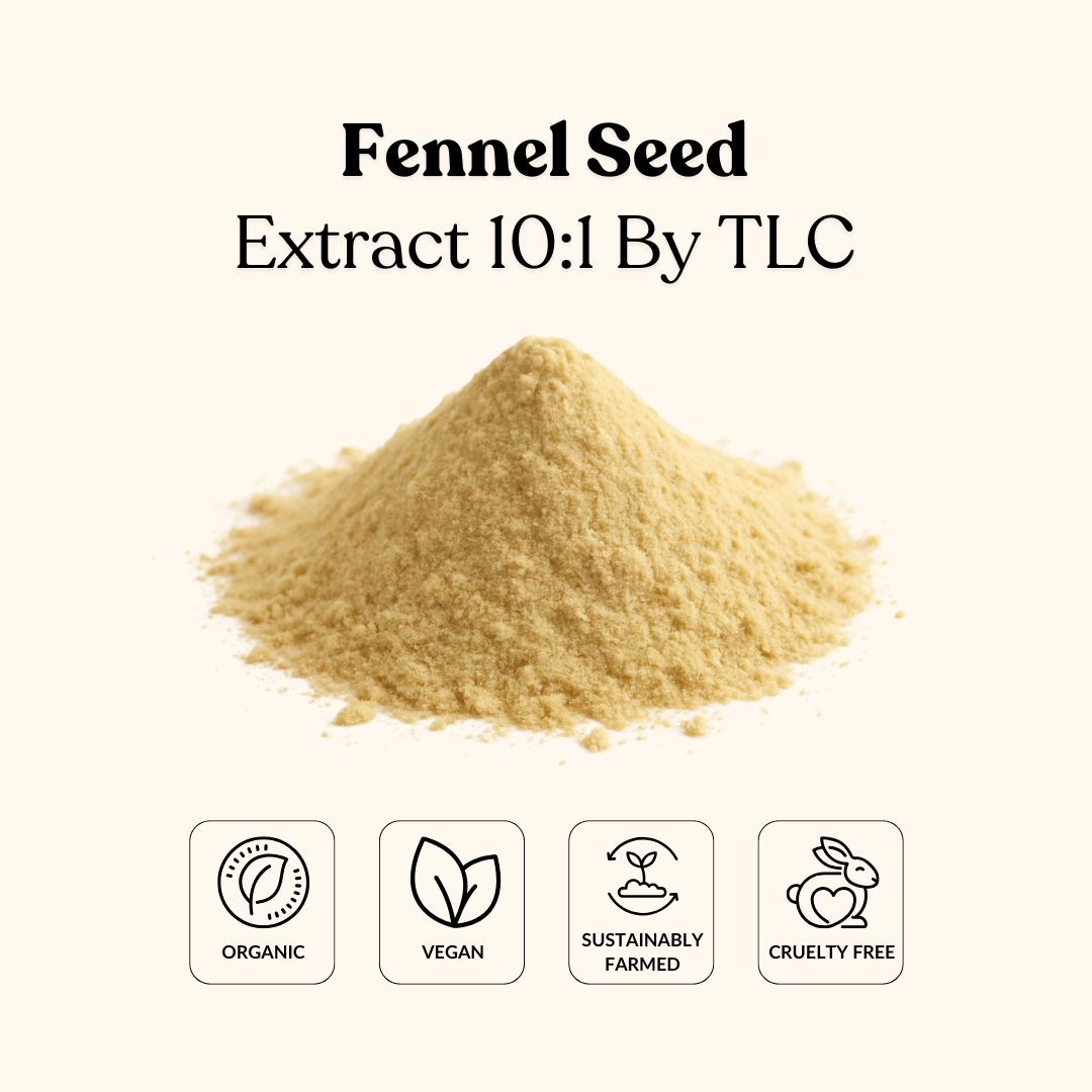 Fennel Seed Extract 10:1 By TLC