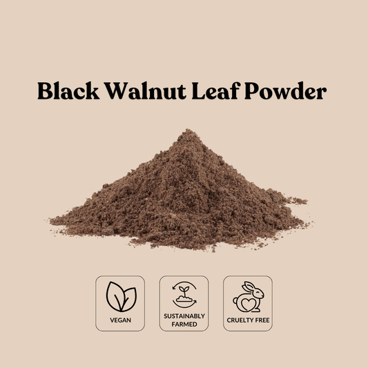 Black Walnut Leaf Powder