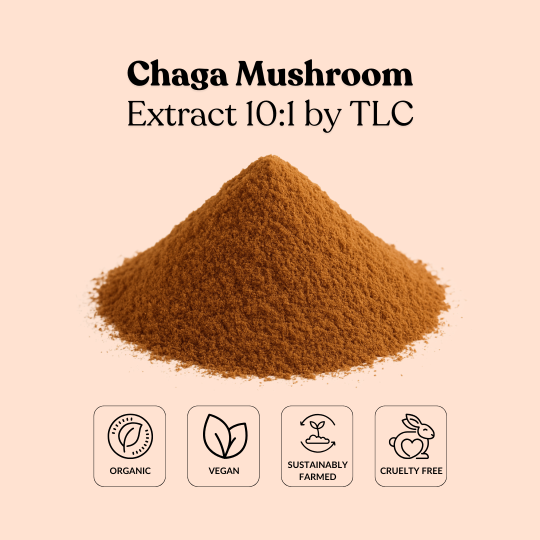 Chaga Mushroom Extract 10:1 by TLC