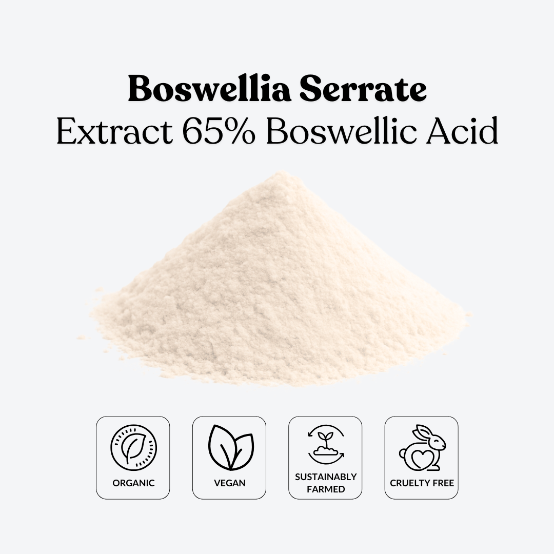 Boswellia Serrate Extract 65% Boswellic Acid