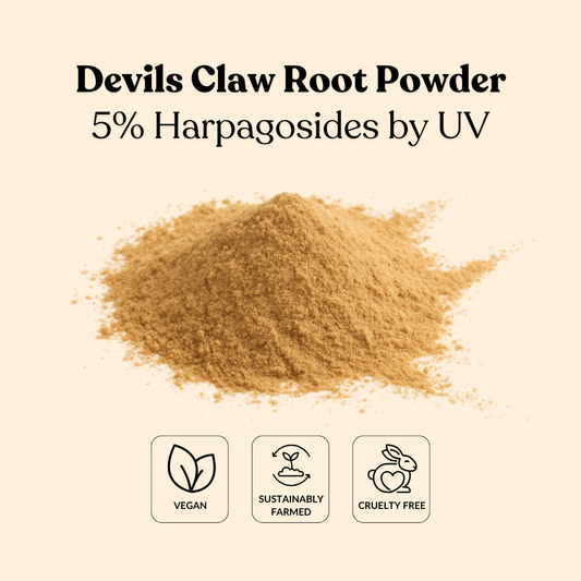 Devils Claw Root Powder 5% Harpagosides by UV