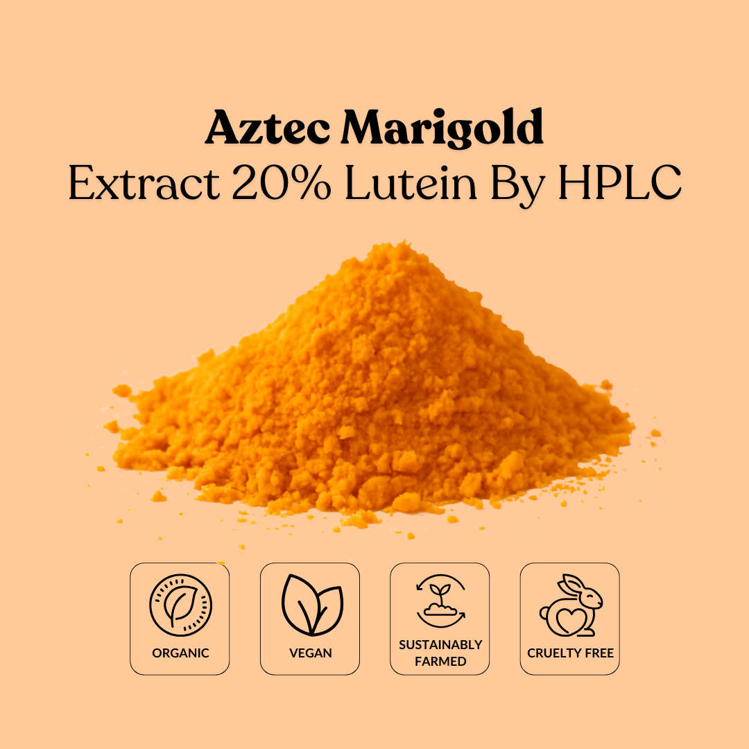 Aztec Marigold Extract 20% Lutein By HPLC