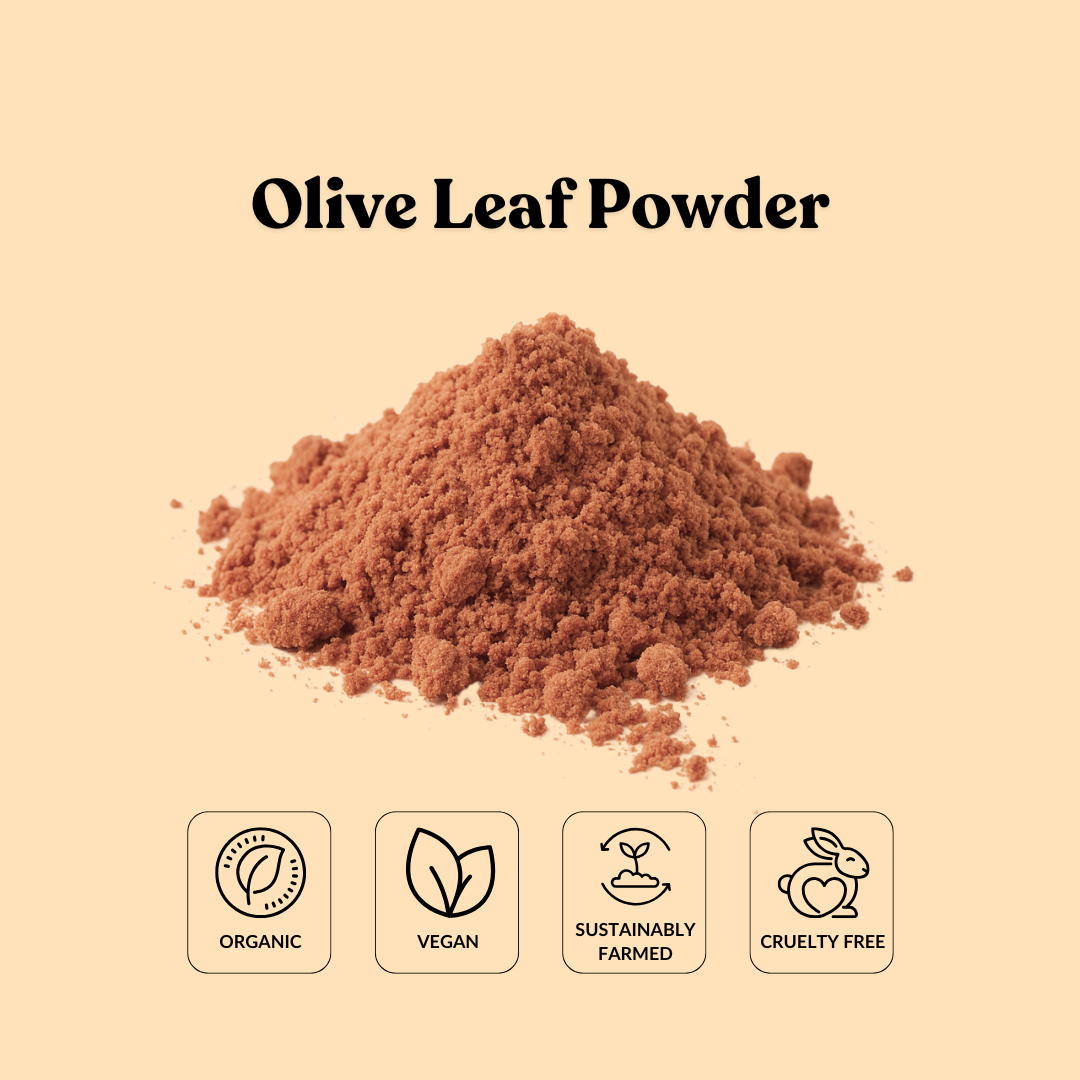 Olive Leaf Powder