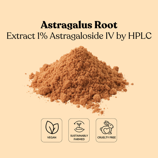 Astragalus Root Extract 1% Astragaloside IV by HPLC