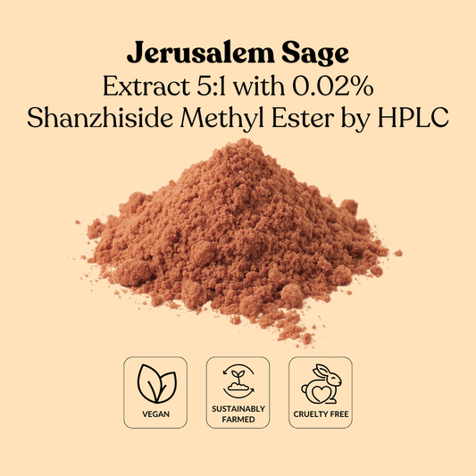 Jerusalem Sage Extract 5:1 with 0.02% Shanzhiside Methyl Ester by HPLC