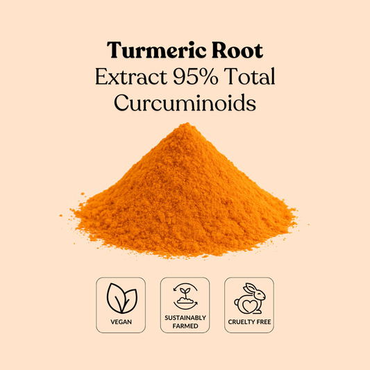 Turmeric Root Extract 95% Total Curcuminoids