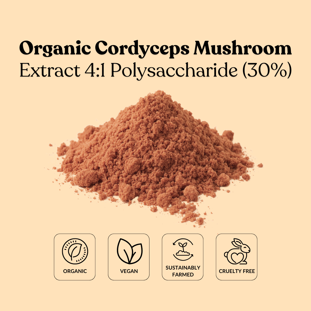 Organic Cordyceps Mushroom Extract 4:1 Polysaccharide (30%)