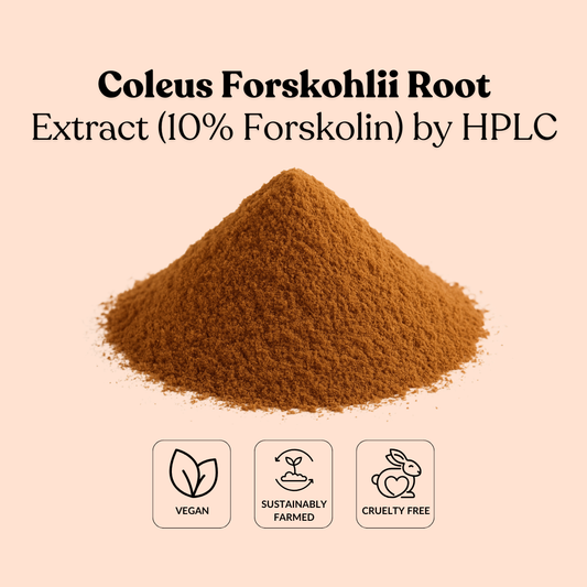 Coleus Forskohlii Root Extract (10% Forskolin) by HPLC
