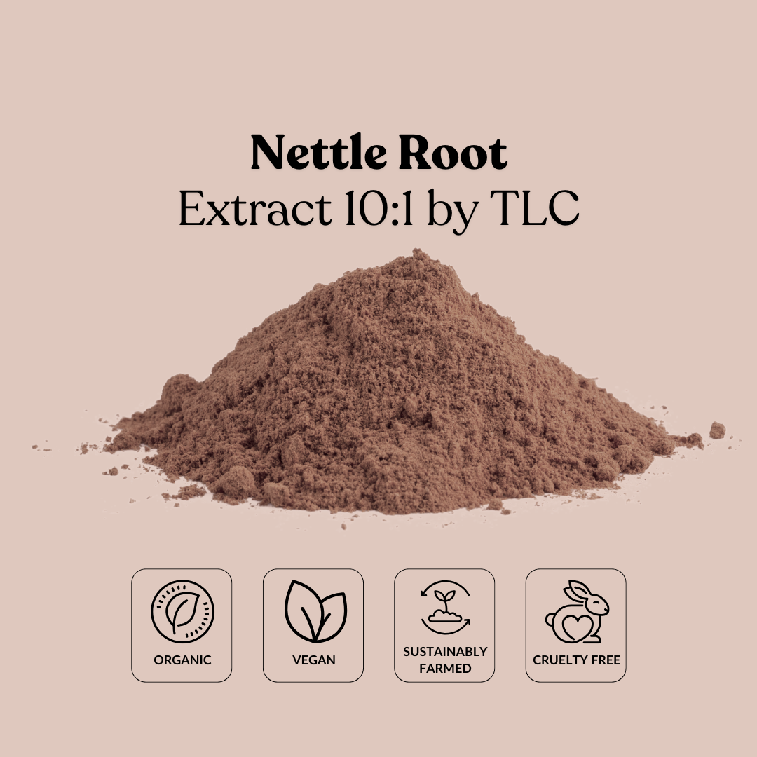 Nettle Root Extract 10:1 by TLC