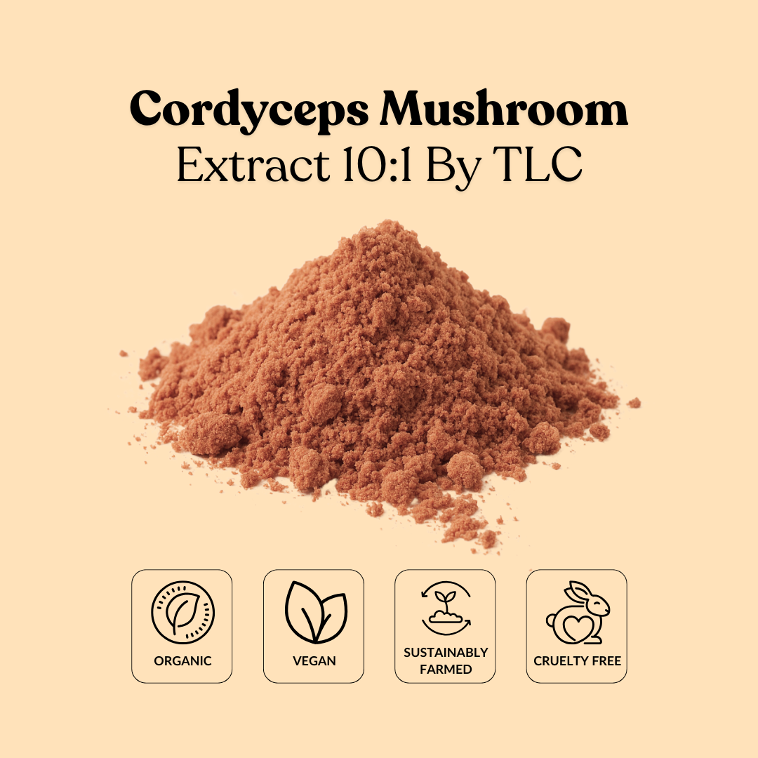 Cordyceps Mushroom Extract 10:1 By TLC