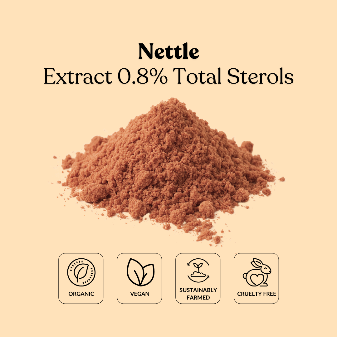 Nettle Extract 0.8% Total Sterols
