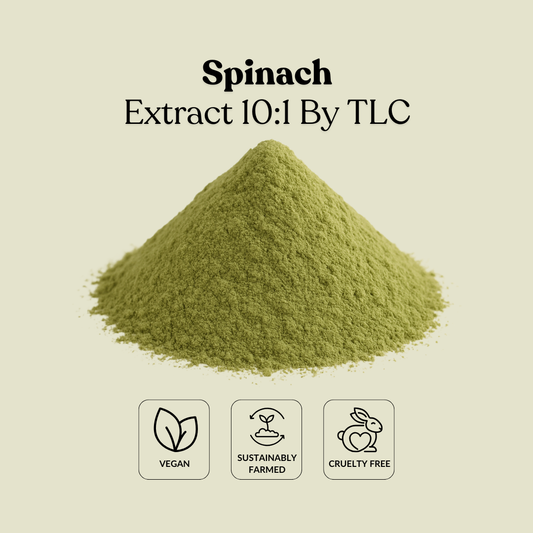 Spinach Extract 10:1 By TLC