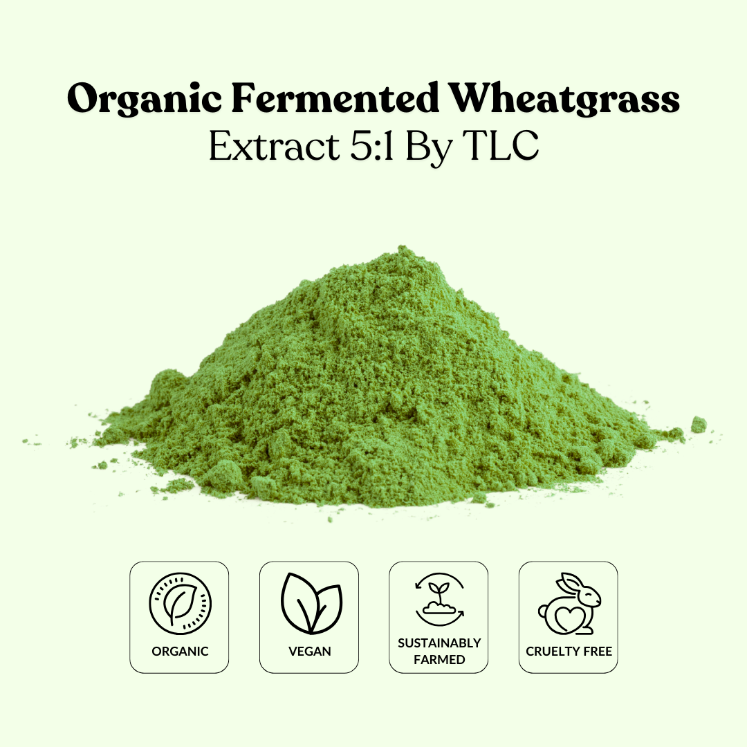 Organic Fermented Wheatgrass Extract 5:1 By TLC
