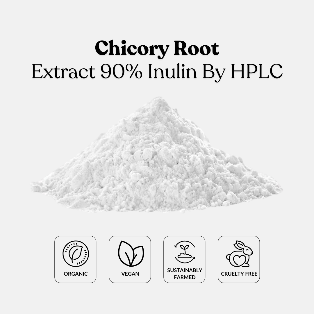 Chicory Root Extract 90% Inulin By HPLC