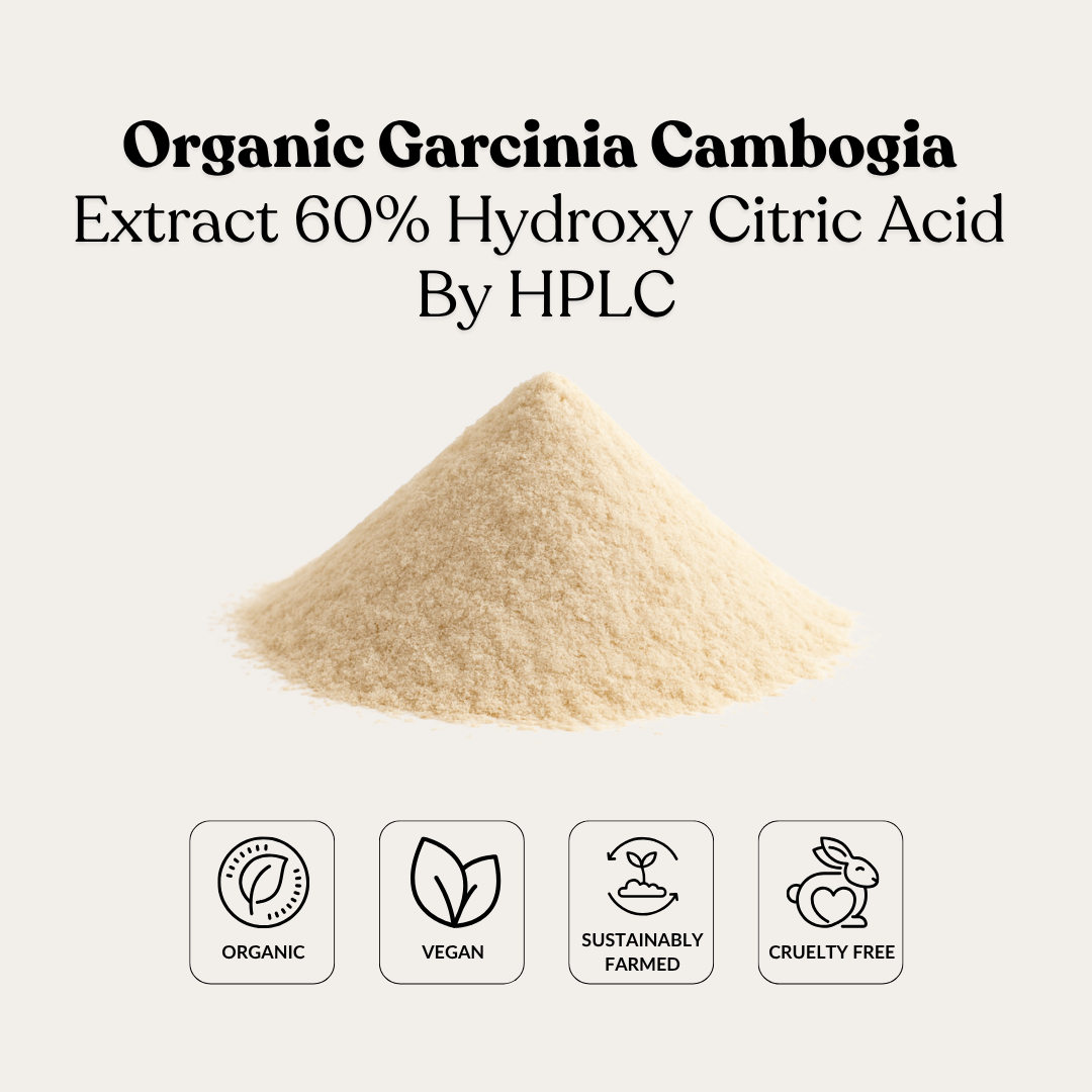 Organic Garcinia Cambogia Extract 60% Hydroxy Citric Acid By HPLC