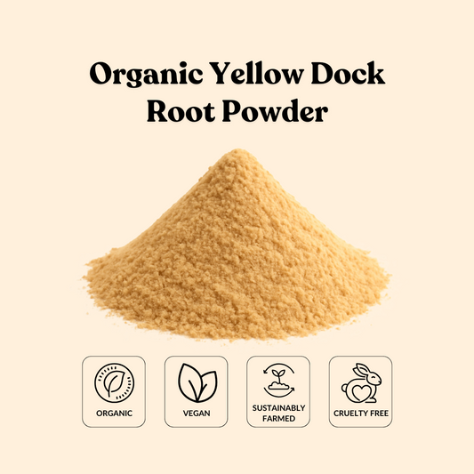 Organic Yellow Dock Root Powder