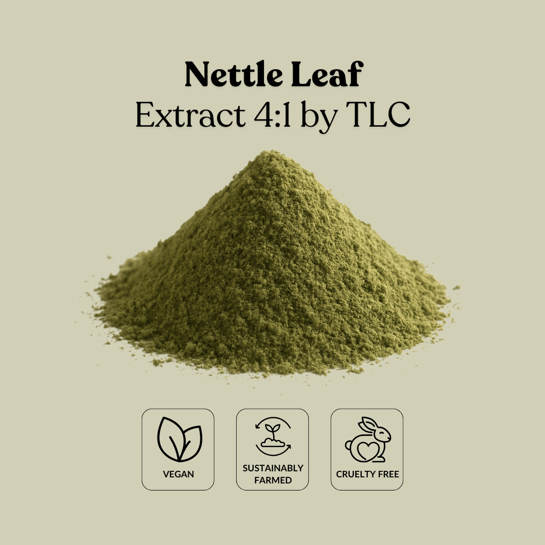 Nettle Leaf Extract 4:1 by TLC