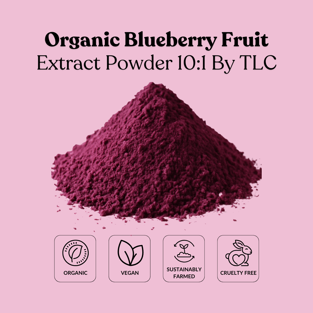 Organic Blueberry Fruit Extract Powder 10:1 By TLC