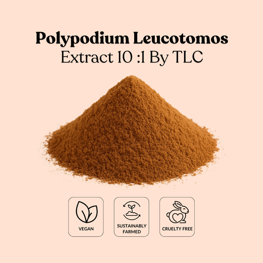 Polypodium Leucotomos Extract 10 :1 By TLC