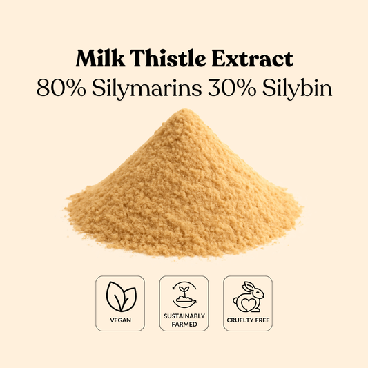 Milk Thistle Extract 80% Silymarins 30% Silybin